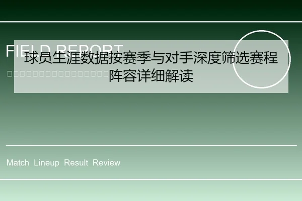 球员生涯数据按赛季与对手深度筛选赛程阵容详细解读